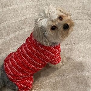 Small Dog Christmas Pajamas